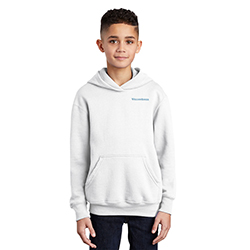 Youth Hooded Sweatshirt